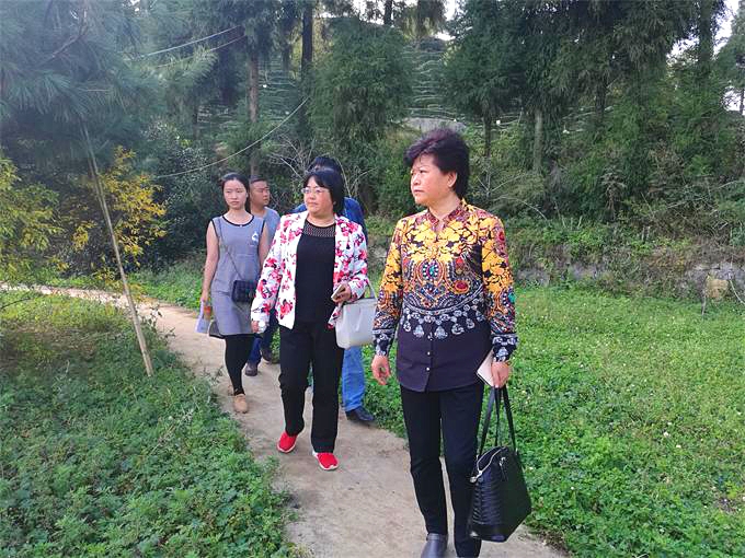 3_看图王.jpg 3_看图王.jpg