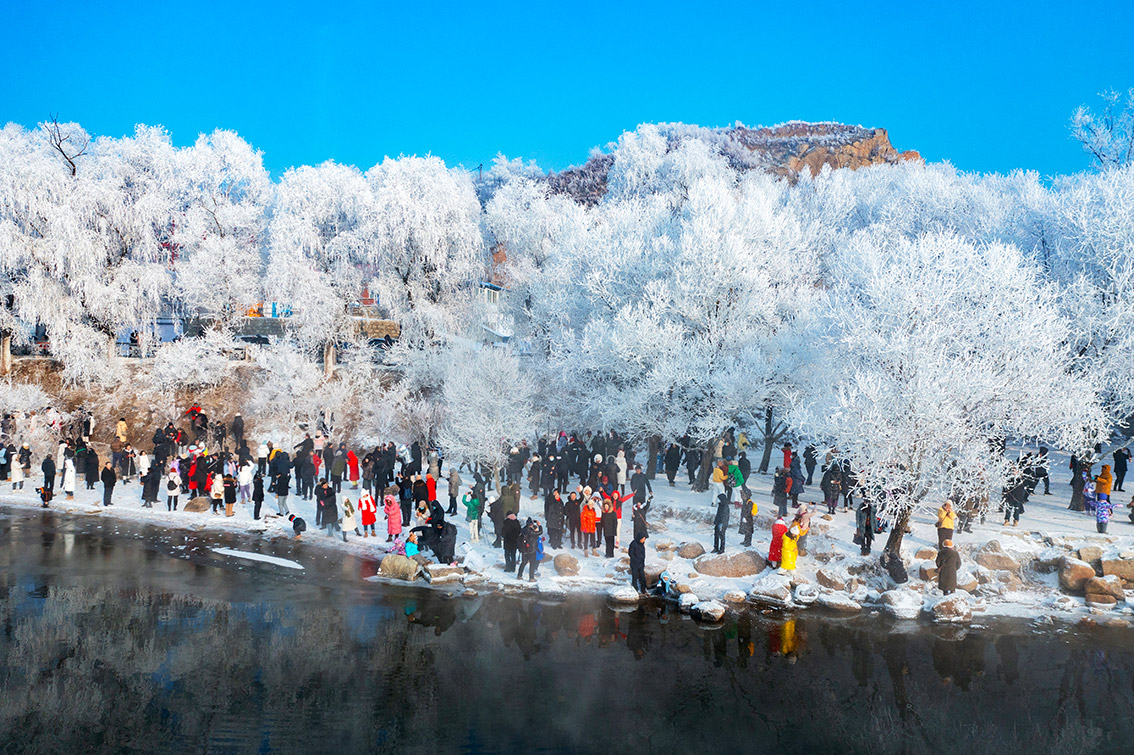 W020250210609010431876.jpeg